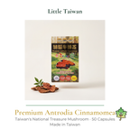 Little Taiwan Premium Antrodia Cinnamomea