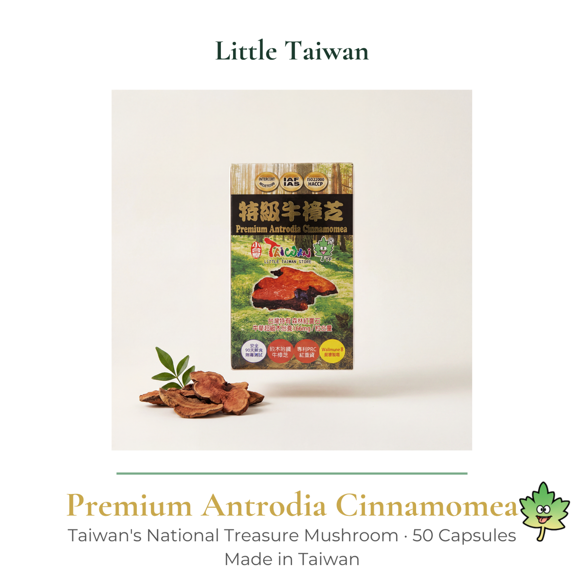Little Taiwan Premium Antrodia Cinnamome