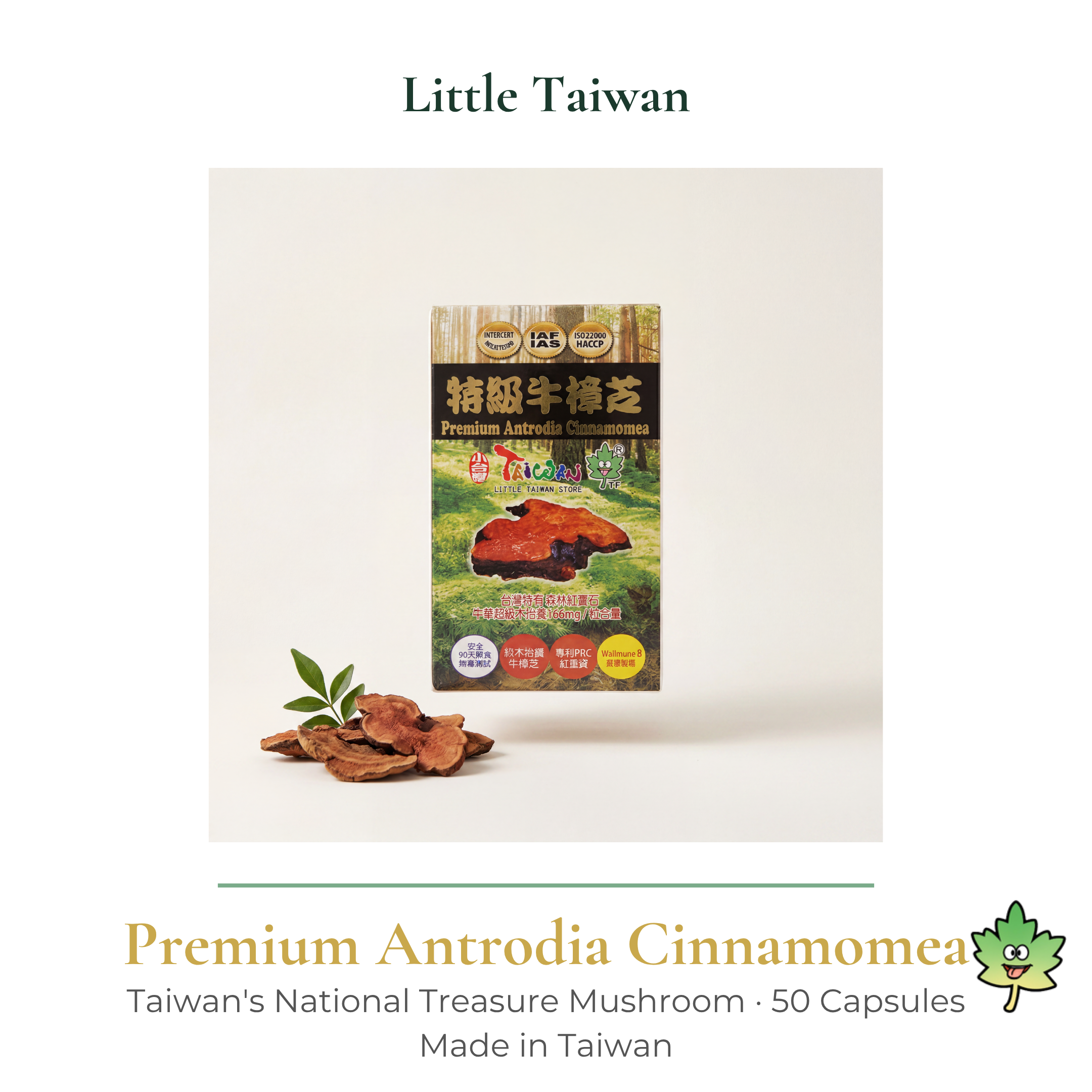 Little Taiwan Premium Antrodia Cinnamomea