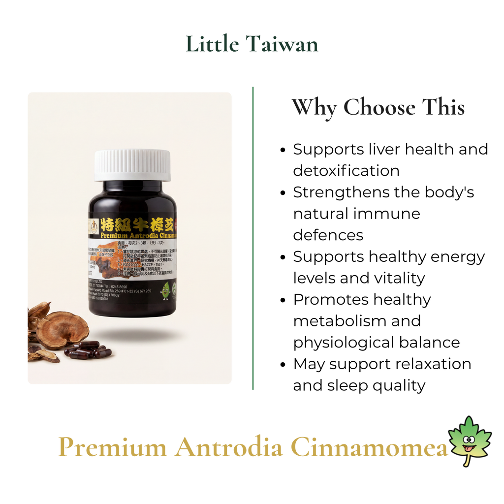 Little Taiwan Premium Antrodia Cinnamomea