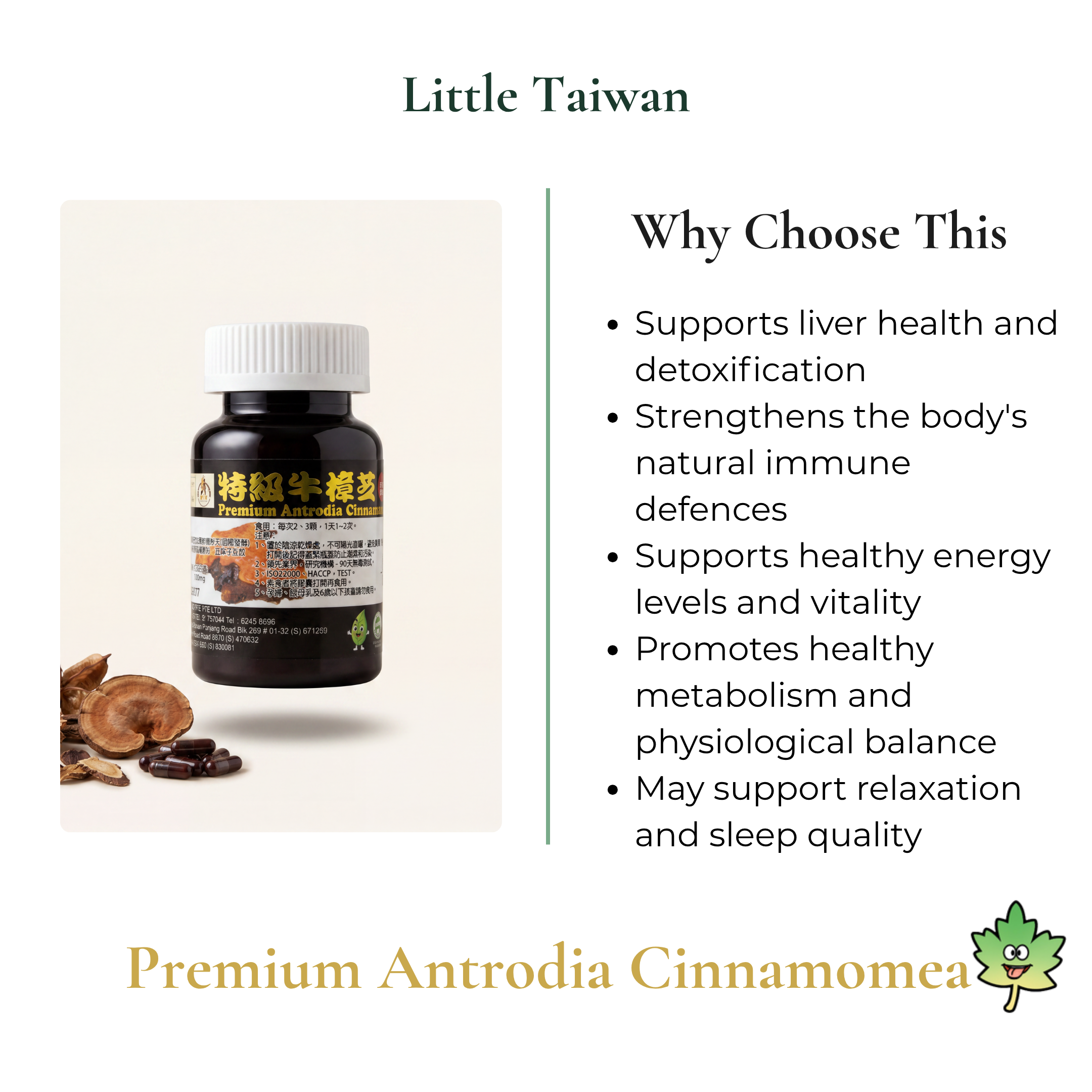 Little Taiwan Premium Antrodia Cinnamomea