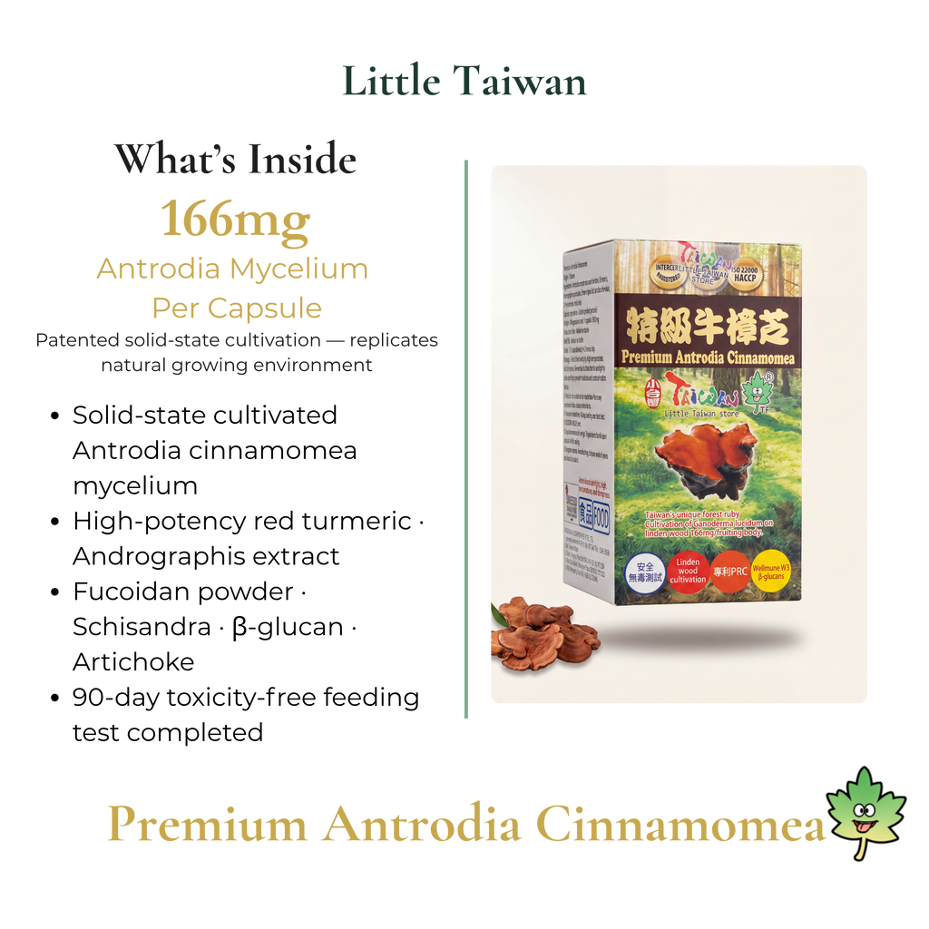 Little Taiwan Premium Antrodia Cinnamomea