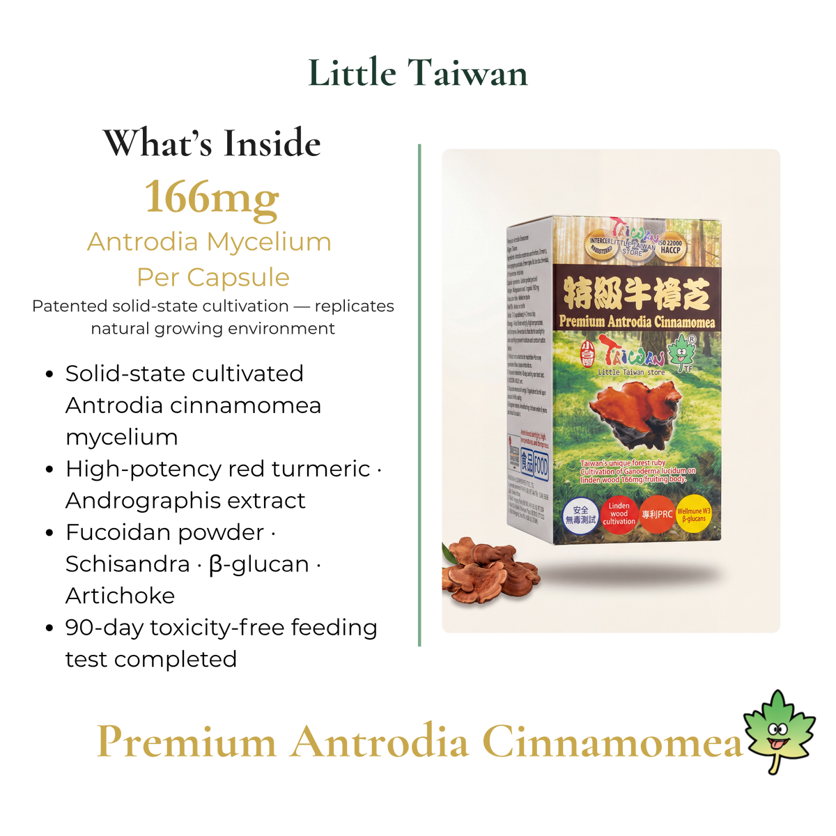 Little Taiwan Premium Antrodia Cinnamome