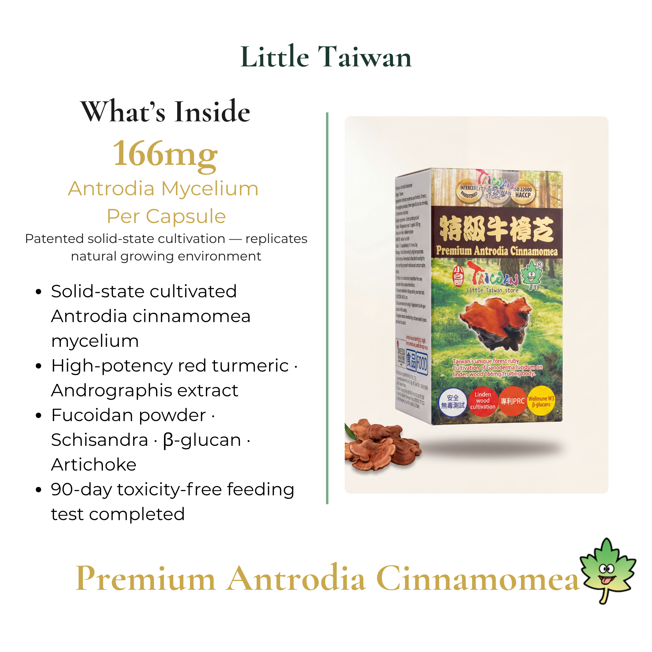 Little Taiwan Premium Antrodia Cinnamomea