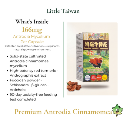 Little Taiwan Premium Antrodia Cinnamome