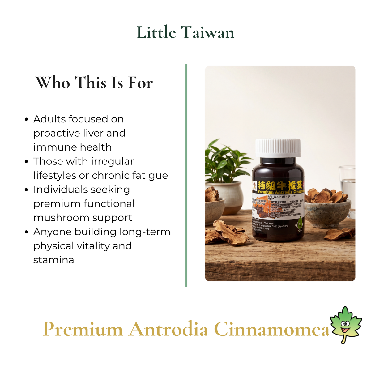 Little Taiwan Premium Antrodia Cinnamome