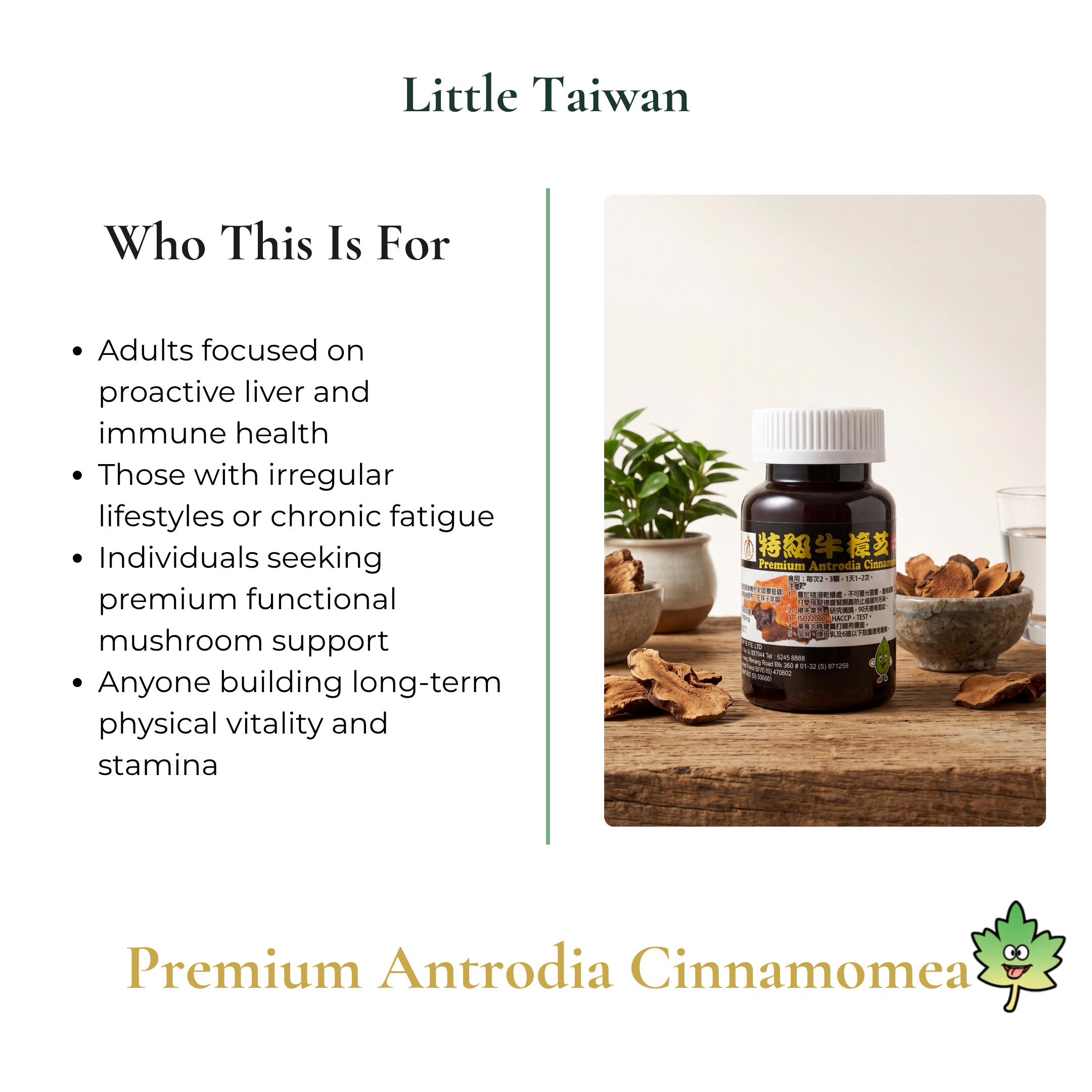 Little Taiwan Premium Antrodia Cinnamomea