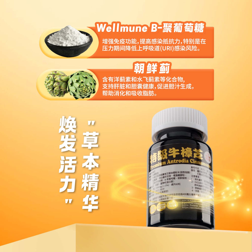 LITTLE TAIWAN  Premium Antrodia Cinnamomea Live Health Supplement 小台湾特级牛樟芝