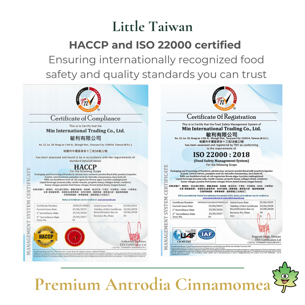 Little Taiwan Premium Antrodia Cinnamomea