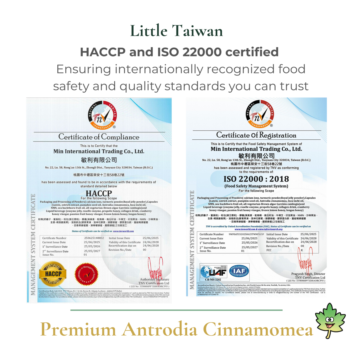 Little Taiwan Premium Antrodia Cinnamome