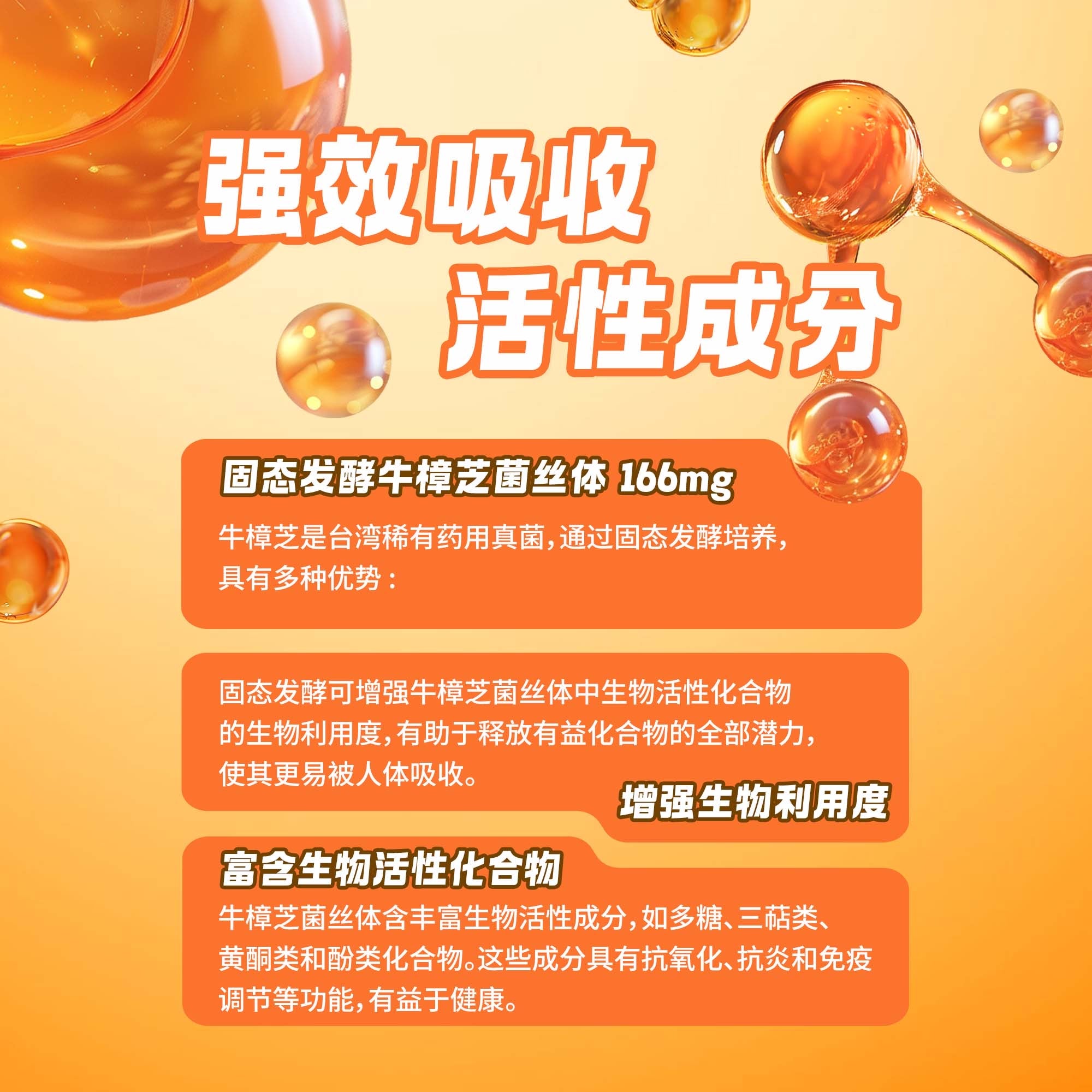 LITTLE TAIWAN  Premium Antrodia Cinnamomea Live Health Supplement 小台湾特级牛樟芝