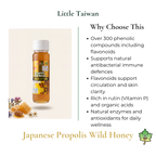 Little Taiwan Japanese Propolis Wild Honey