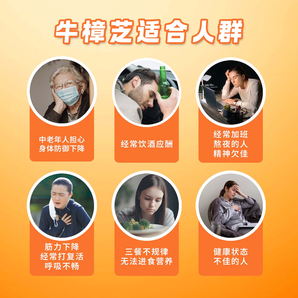 LITTLE TAIWAN  Premium Antrodia Cinnamomea Live Health Supplement 小台湾特级牛樟芝