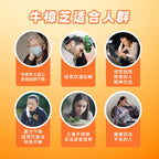 LITTLE TAIWAN  Premium Antrodia Cinnamomea Live Health Supplement 小台湾特级牛樟芝