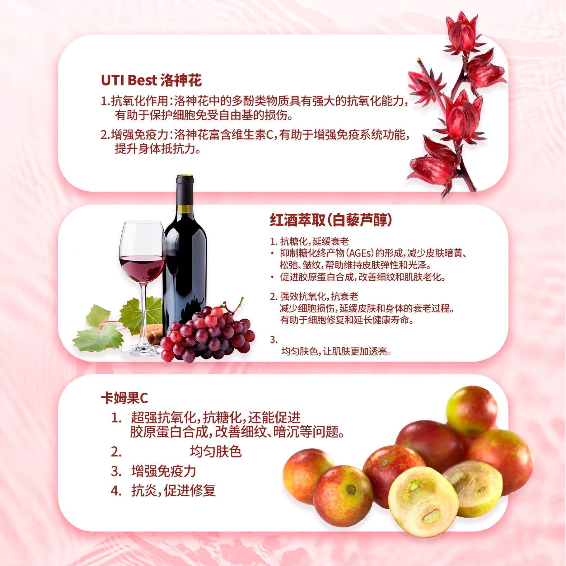 LITTLE TAIWAN Japan Formula Anti-glycation 8000mg peptides Collagen Hydrolysaten 小台湾小分子胶原蛋白胜肽-AG抗糖饮｜抗糖饮｜胶原蛋白