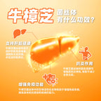 LITTLE TAIWAN  Premium Antrodia Cinnamomea Live Health Supplement 小台湾特级牛樟芝