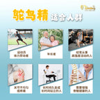 LITTLE TAIWAN Ostrich Essence 小台湾鸵鸟精｜关节灵活宝