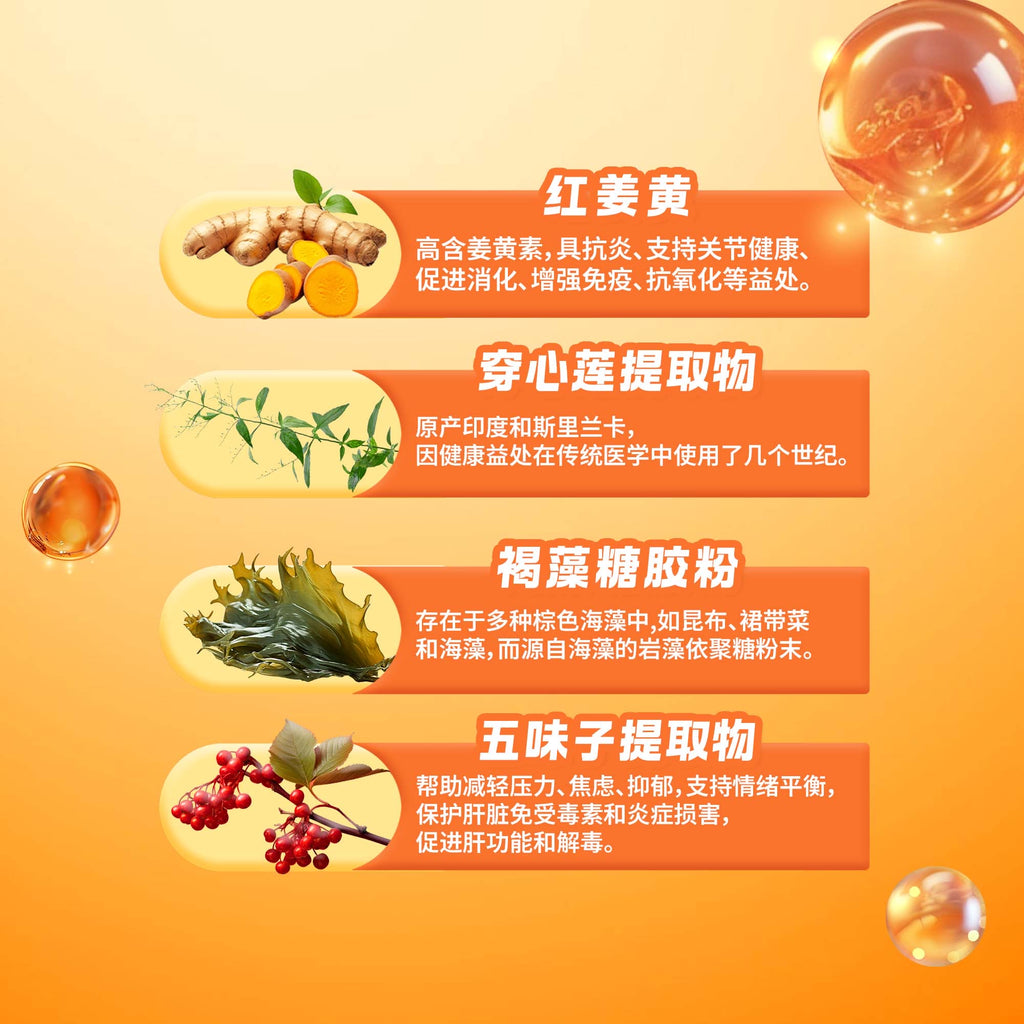 LITTLE TAIWAN  Premium Antrodia Cinnamomea Live Health Supplement 小台湾特级牛樟芝