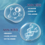 LITTLE TAIWAN  NMN PRO｜NAD+ supply｜Anti-aging｜Improve Sleep Quality｜Improve Skin Quality｜ improve immunity